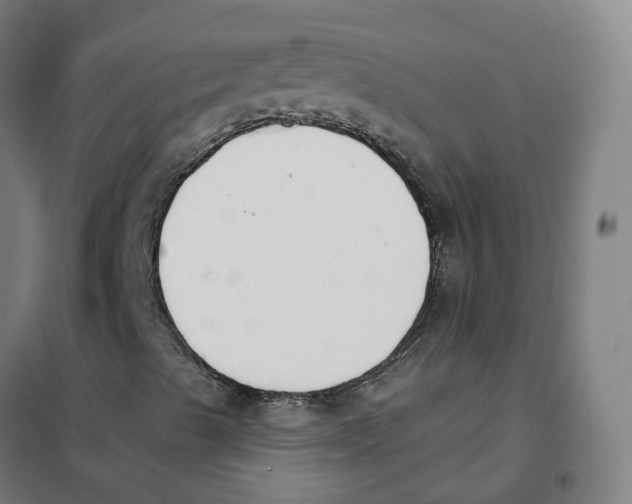 X0000101231489200807251122