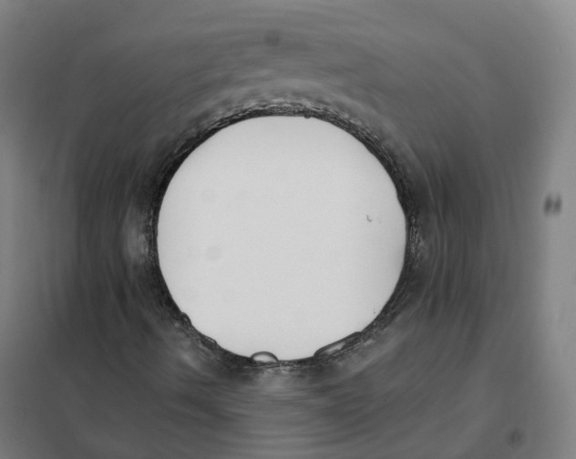 X0000101231490200807251122