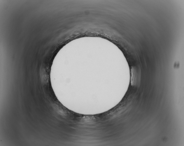 X0000101231491200807251122