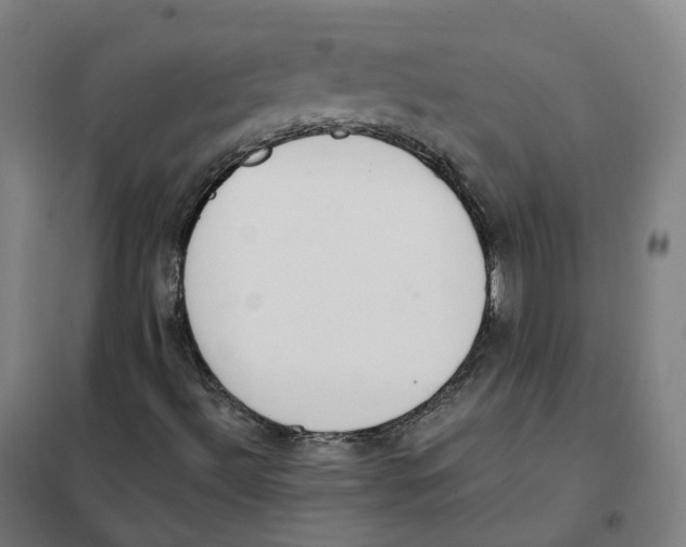 X0000101231492200807251122