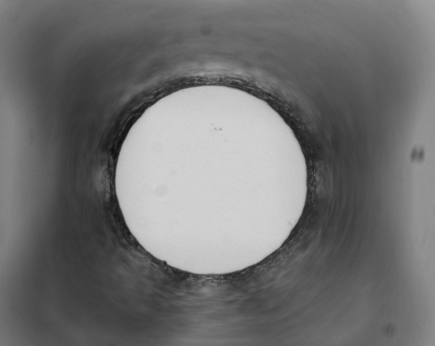 X0000101231493200807251122