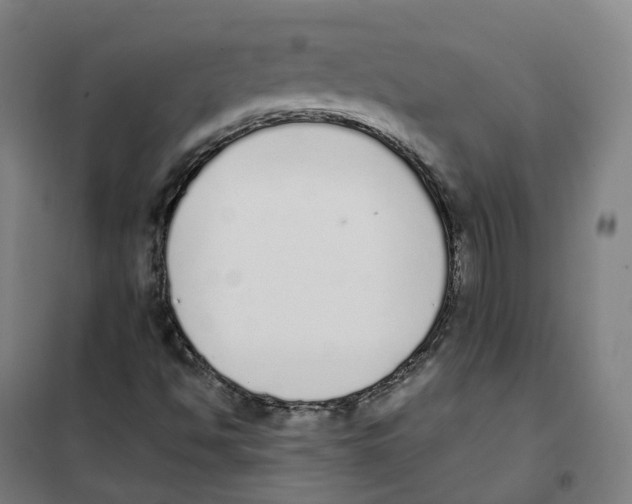 X0000101231494200807251122