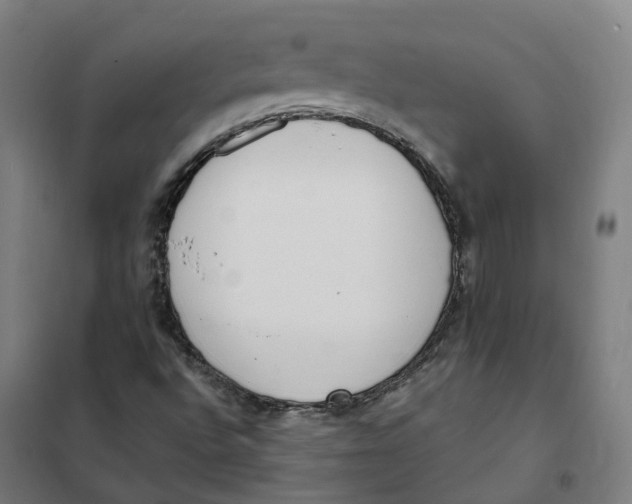 X0000101231496200807251122