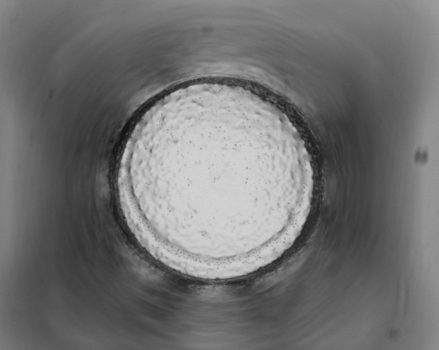 X0000101231497200807251122
