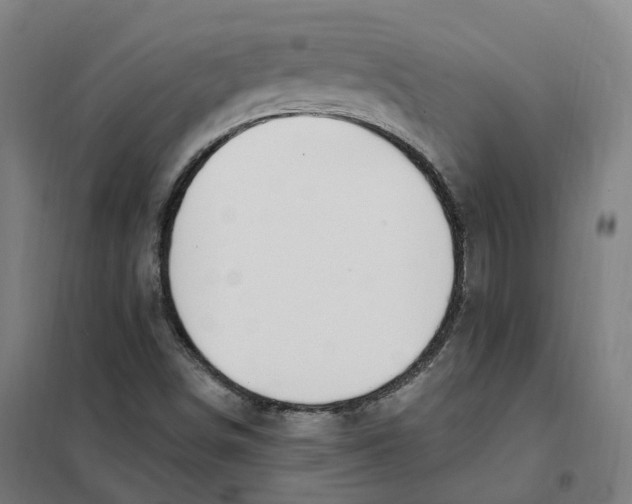 X0000101231498200807251122