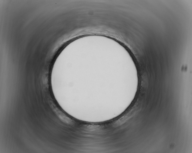 X0000101231499200807251122
