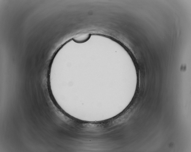 X0000101231500200807251122