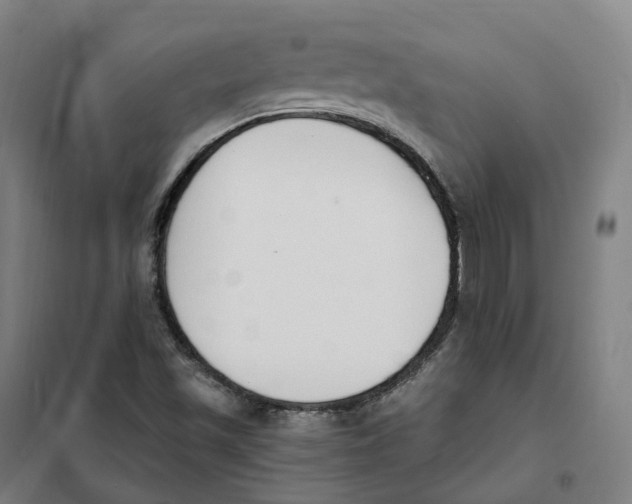 X0000101231501200807251122