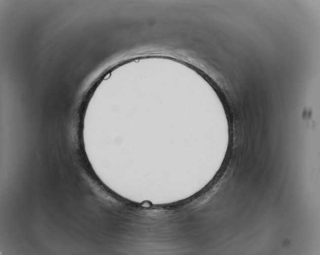 X0000101231502200807251122