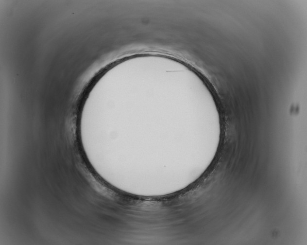 X0000101231503200807251122