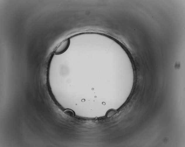 X0000101231504200807251122