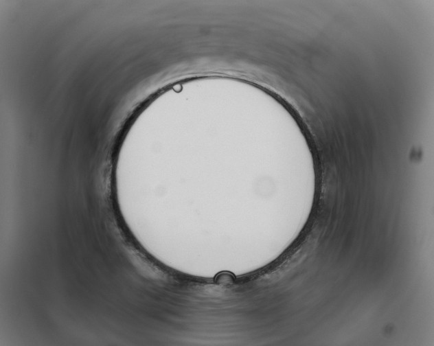 X0000101231507200807251122