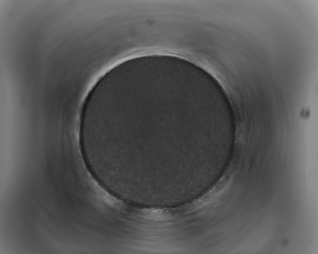X0000101231508200807251122