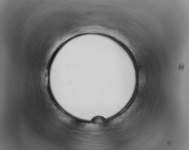X0000101231509200807251122