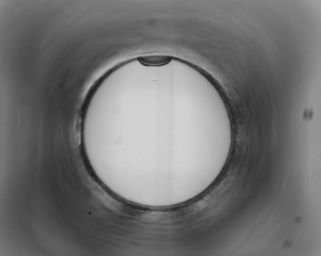 X0000101231510200807251122