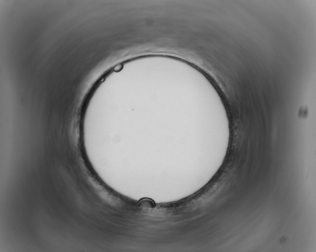X0000101231511200807251122