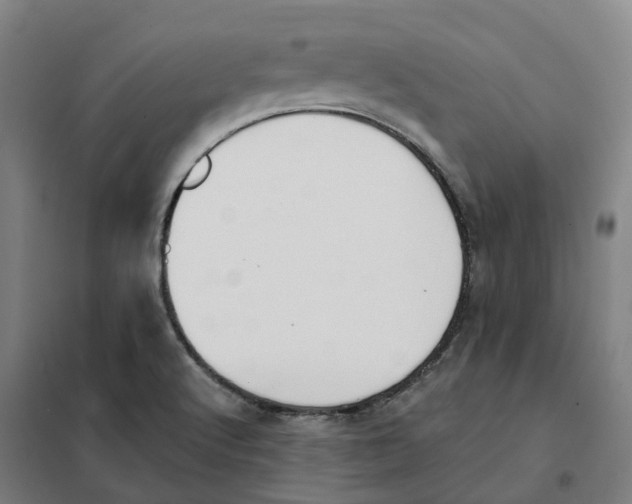 X0000101231512200807251122