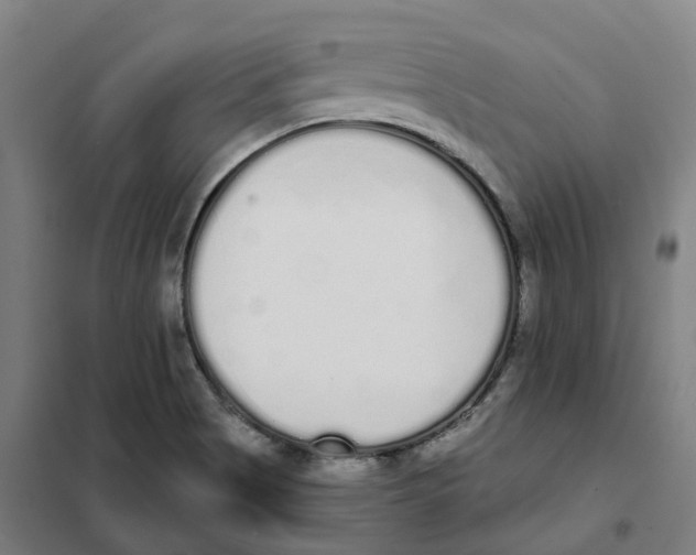 X0000101231513200807251122