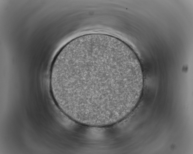 X0000101231514200807251122