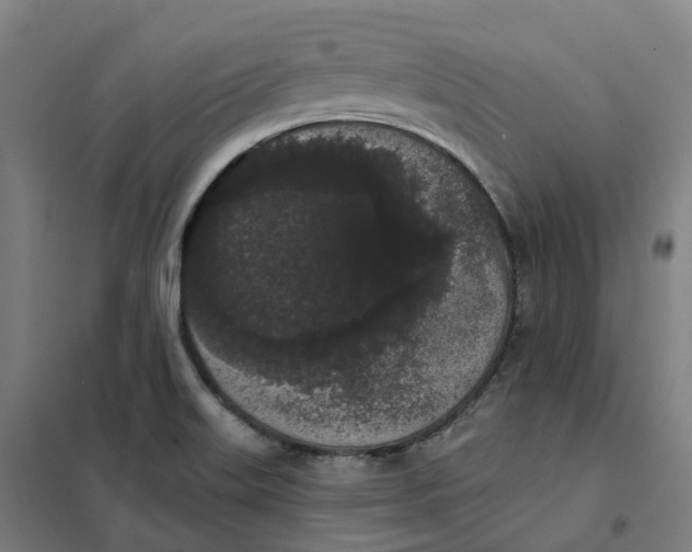 X0000101231515200807251122
