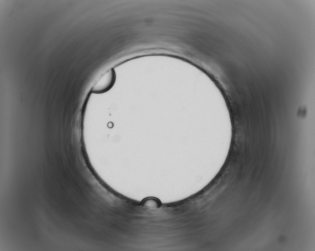 X0000101231516200807251122