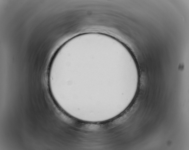 X0000101231517200807251122