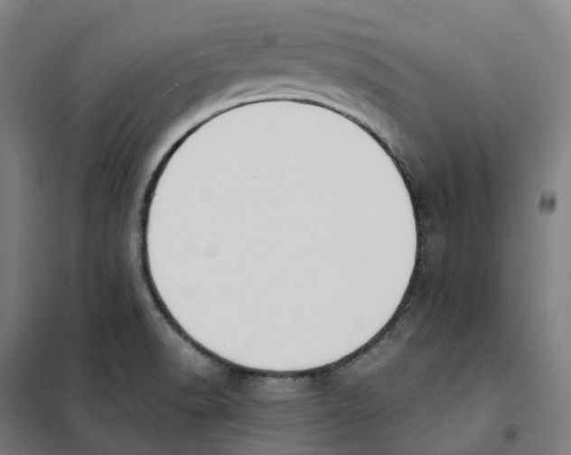 X0000101231518200807251122
