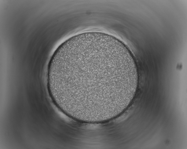 X0000101231519200807251122
