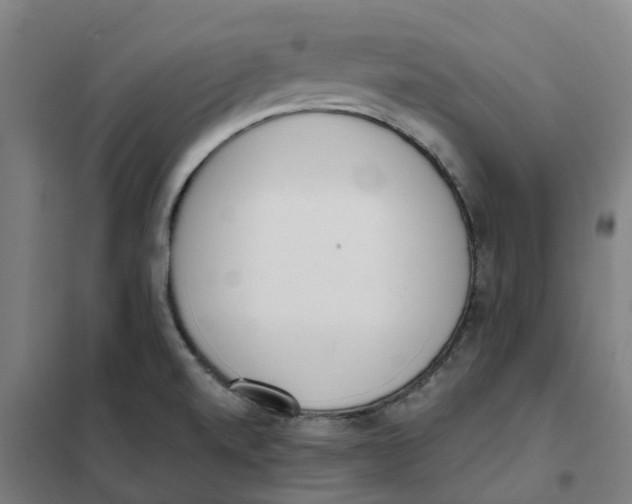 X0000101231520200807251122