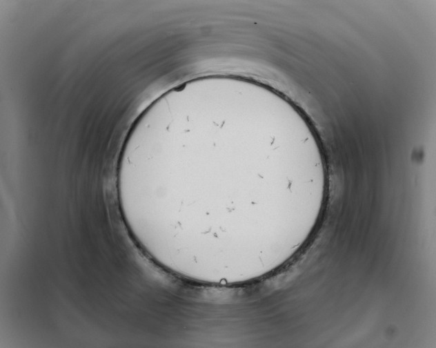 X0000101231521200807251122