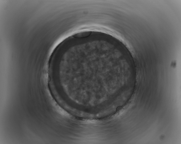 X0000101231522200807251122