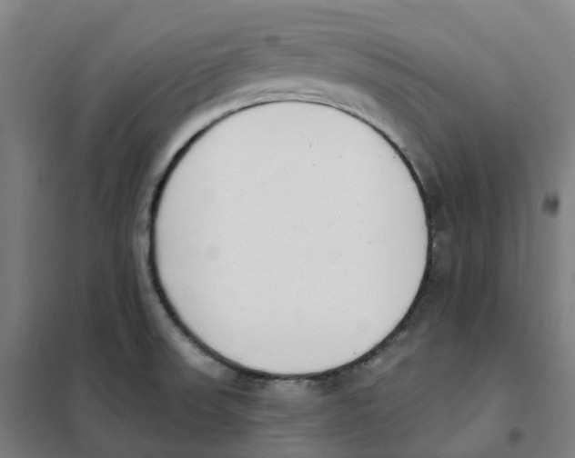 X0000101231523200807251122