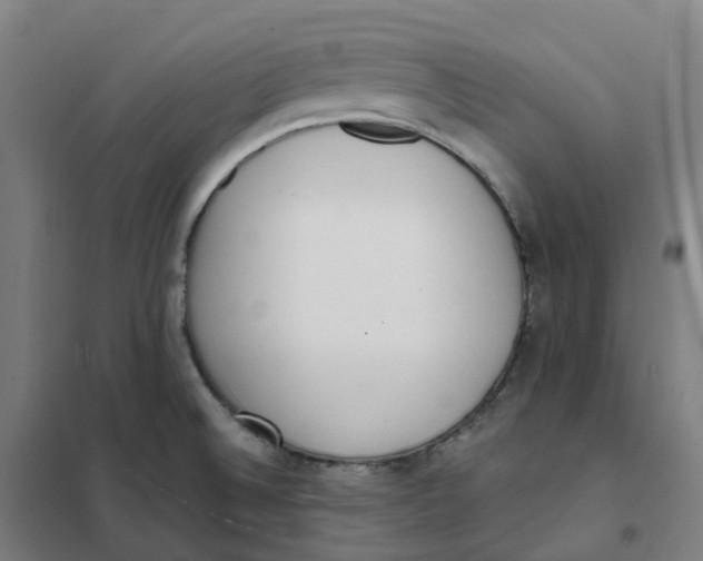X0000101231524200807251122
