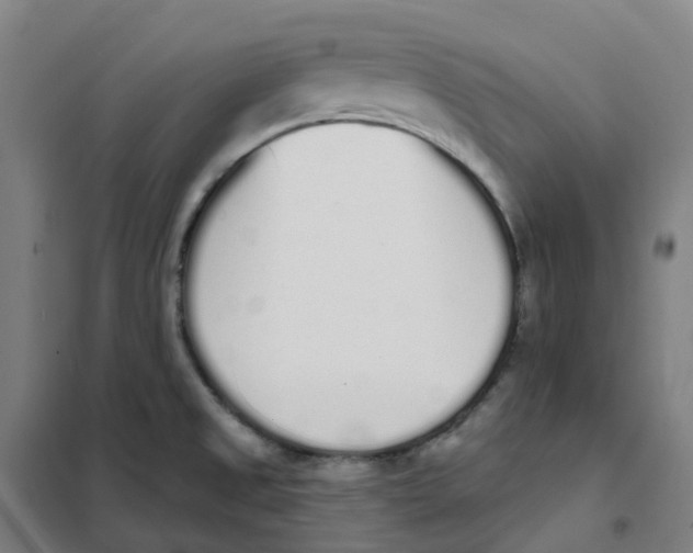 X0000101231525200807251122