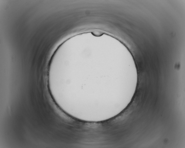 X0000101231526200807251122