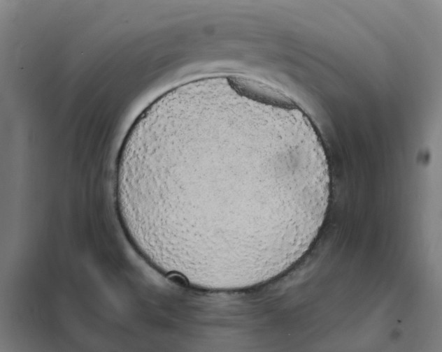 X0000101231527200807251122