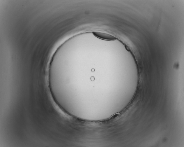 X0000101231528200807251123