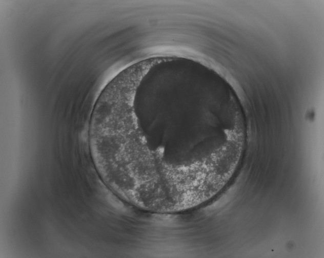 X0000101231529200807251123