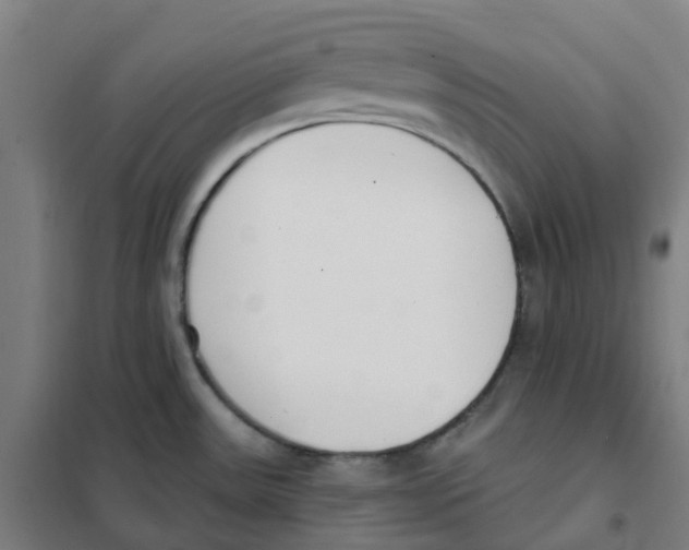X0000101231531200807251123