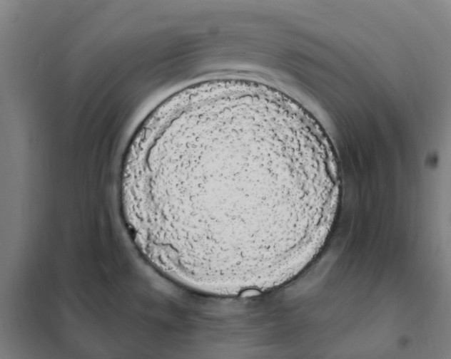 X0000101231533200807251123