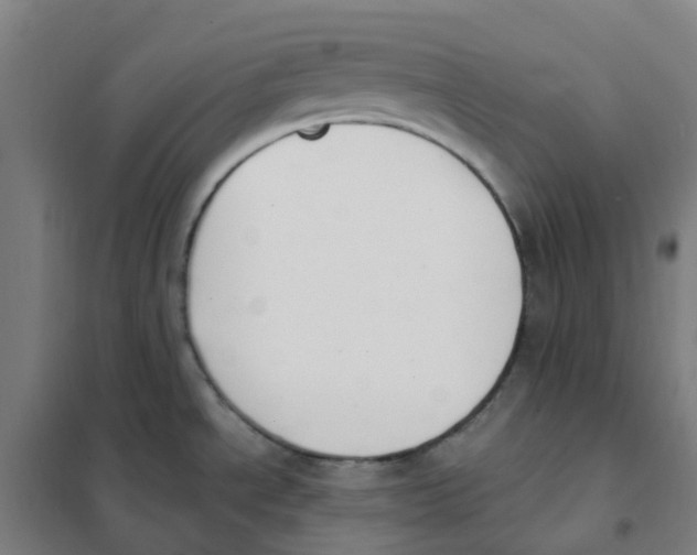 X0000101231534200807251123