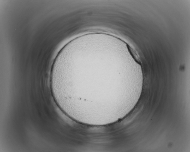 X0000101231535200807251123