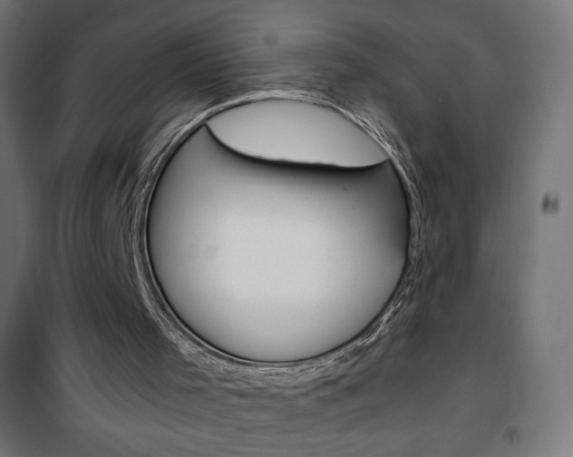 X0000101390001200807071016