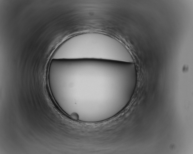 X0000101390002200807071016