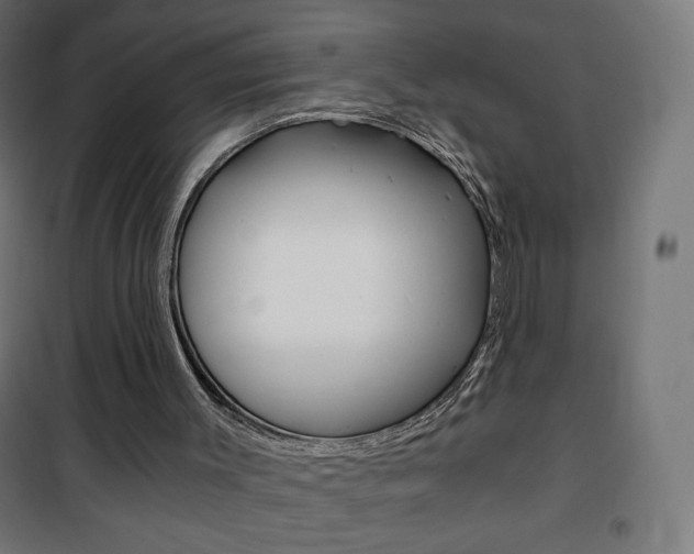 X0000101390003200807071016