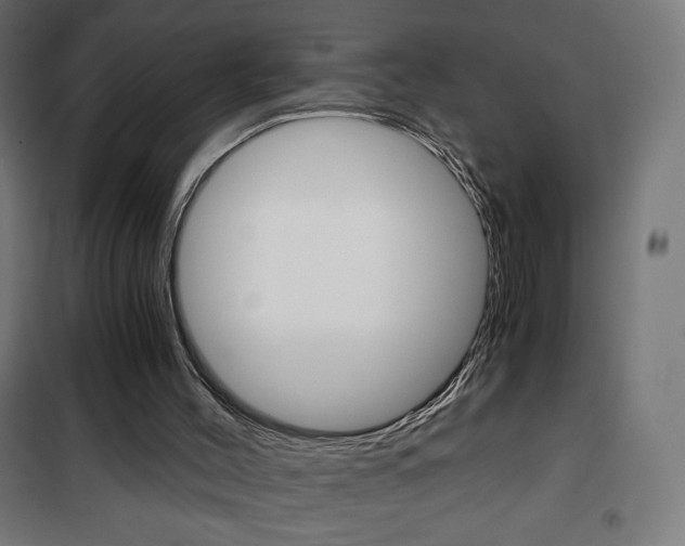 X0000101390004200807071016