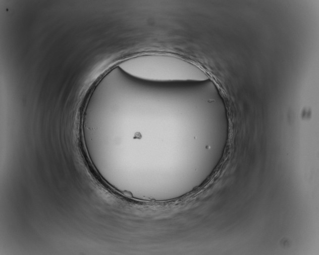 X0000101390005200807071016