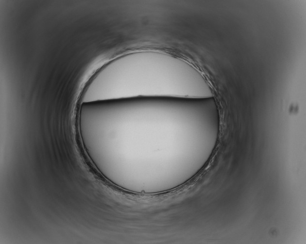 X0000101390006200807071016