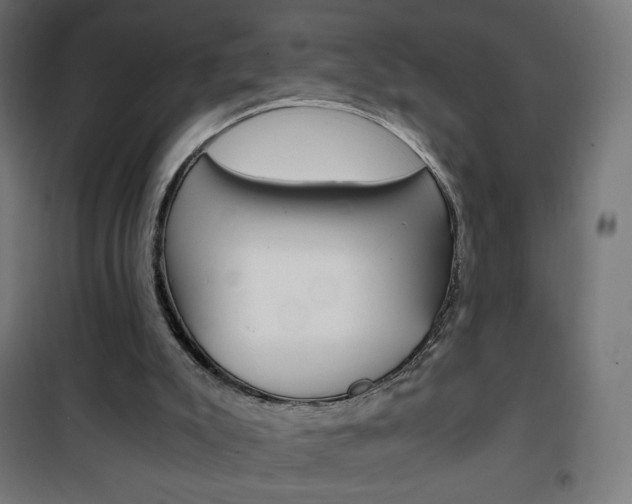X0000101390007200807071016