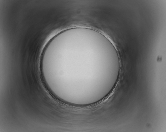 X0000101390008200807071016